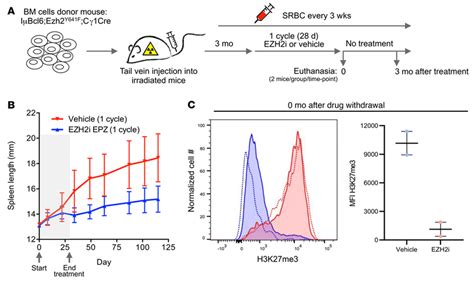 lv y et al 2012 ezh2|ezh2 mutant lymphoma.